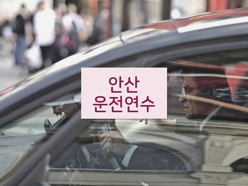 안산운전연수 후기