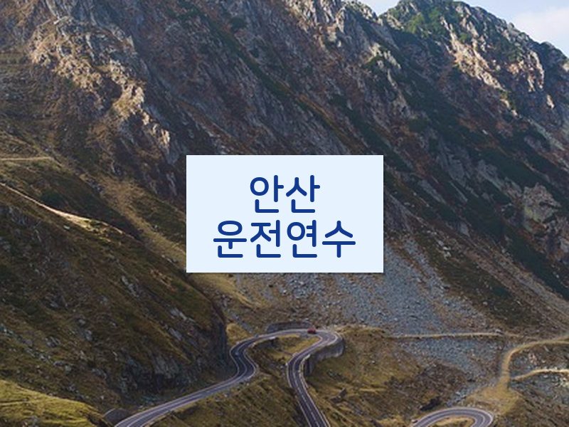 안산운전연수 후기