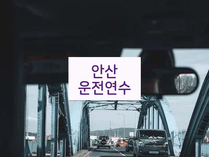 안산운전연수 후기