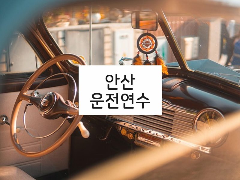 안산운전연수 후기