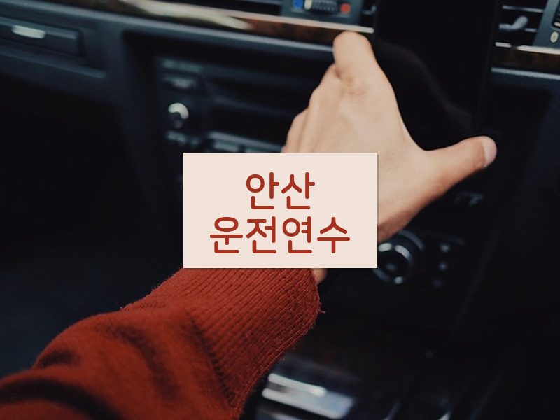 안산운전연수 후기