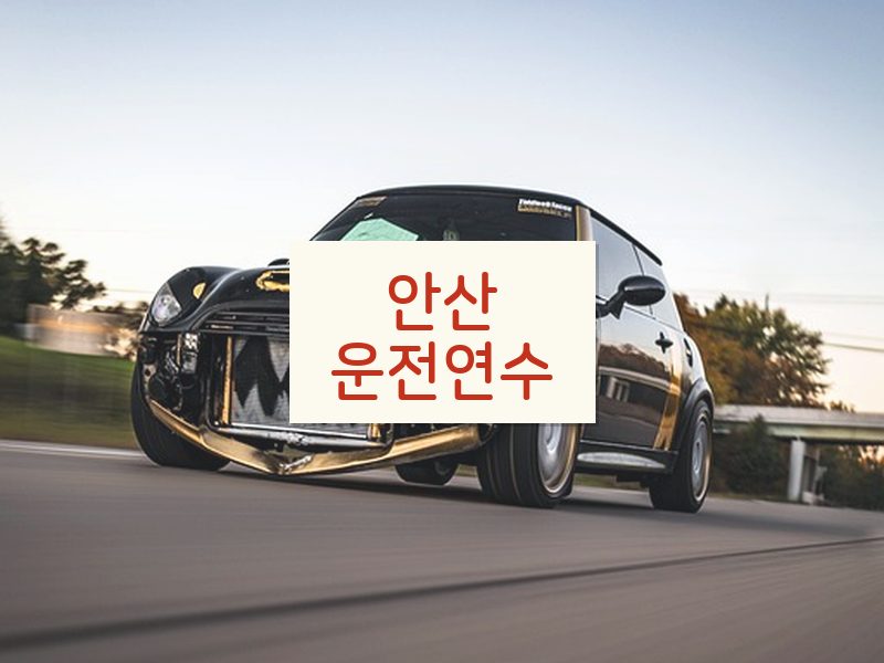 안산운전연수 후기