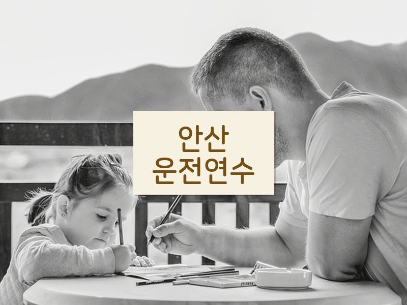 안산운전연수 후기
