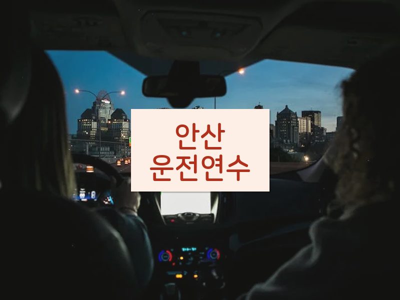 안산운전연수 후기
