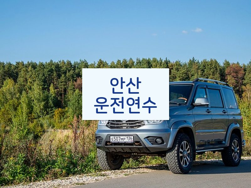 안산운전연수 후기