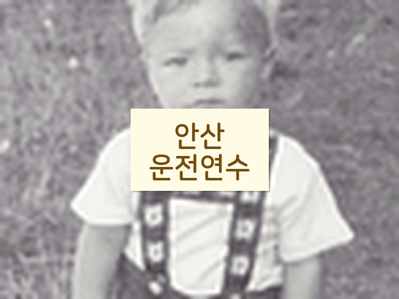 안산운전연수 후기