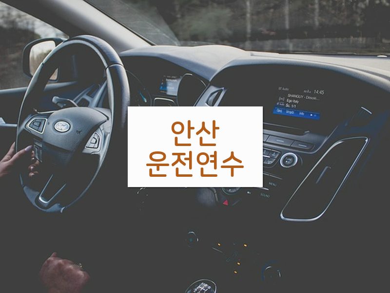 안산운전연수 후기