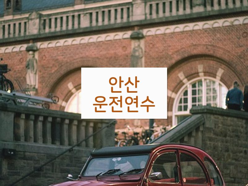 안산운전연수 후기