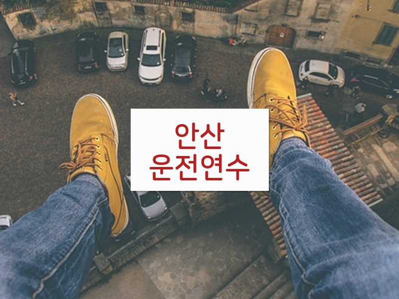 안산운전연수 후기