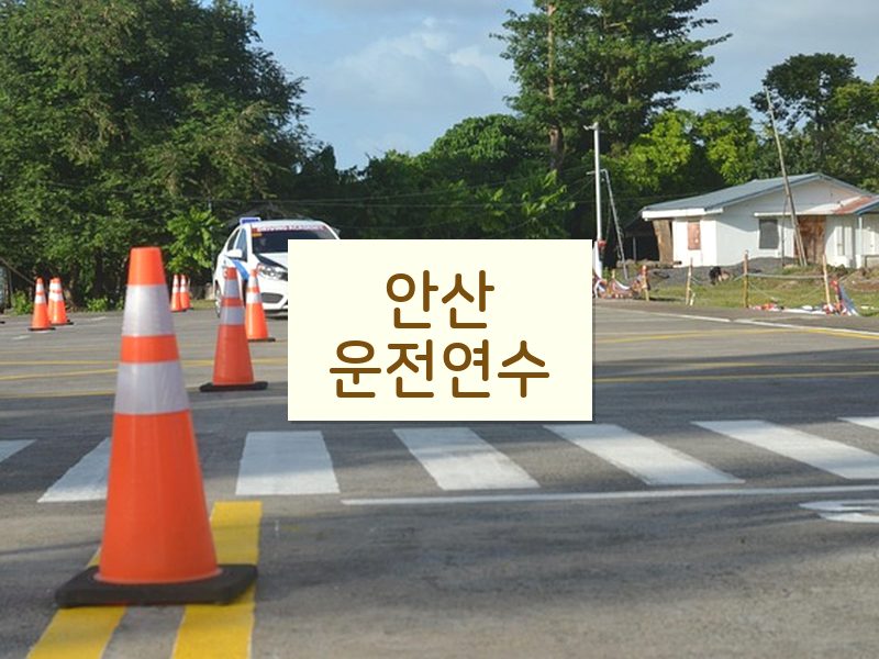 안산운전연수 후기