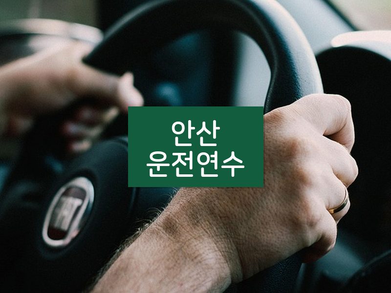 안산운전연수 후기