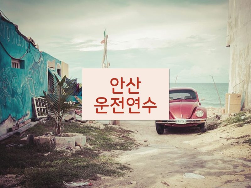 안산운전연수 후기