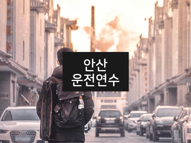안산운전연수 후기