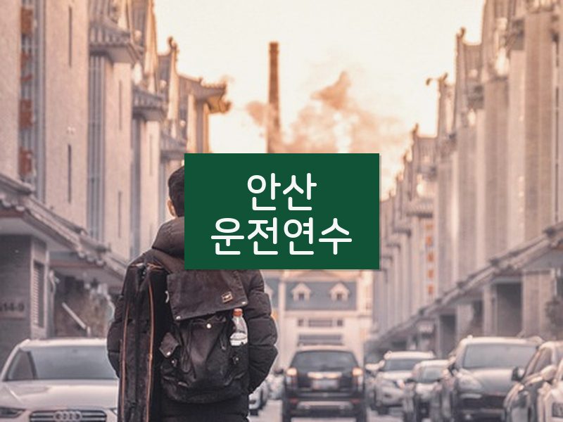 안산운전연수 후기