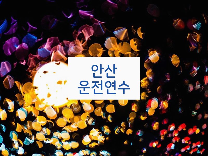안산운전연수 후기