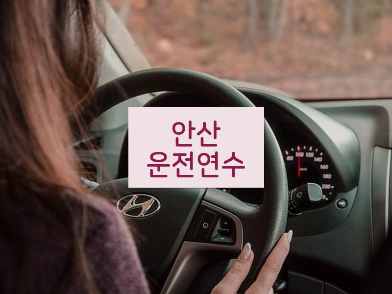 안산운전연수 후기