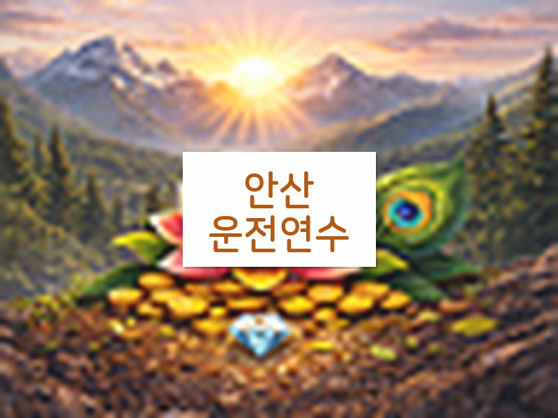 안산운전연수 후기