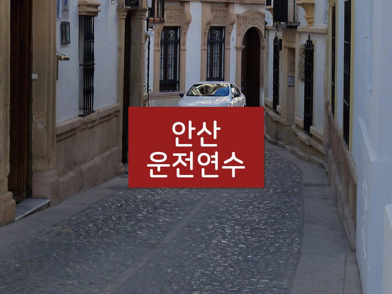 안산운전연수 후기