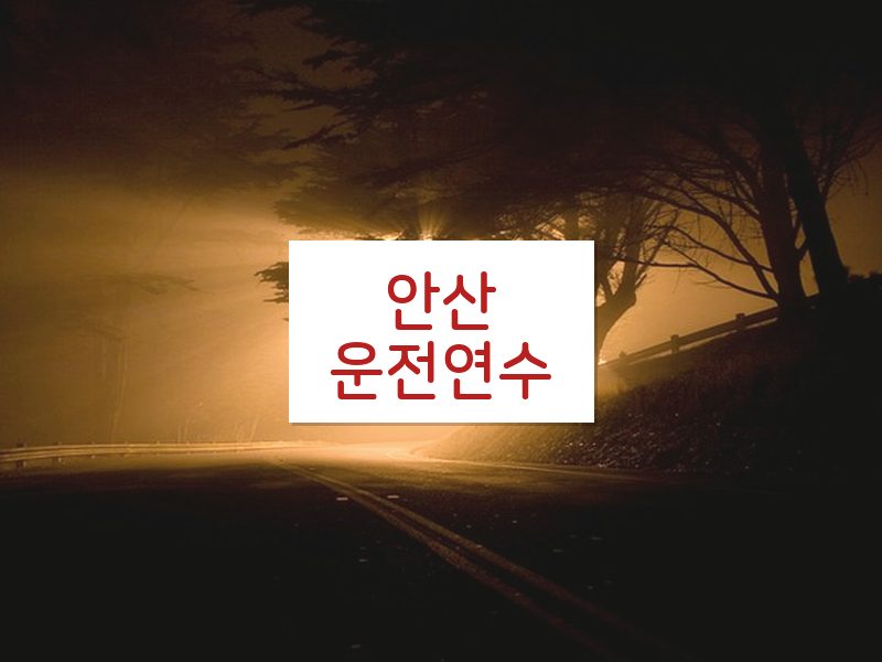 안산운전연수 후기