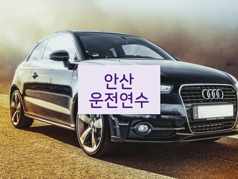 안산운전연수 후기