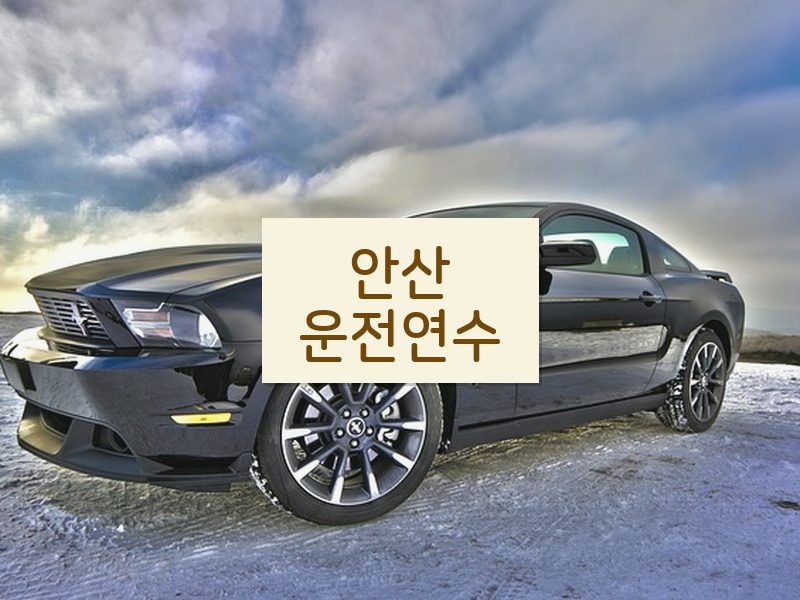 안산운전연수 후기