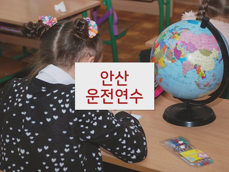 안산운전연수 후기