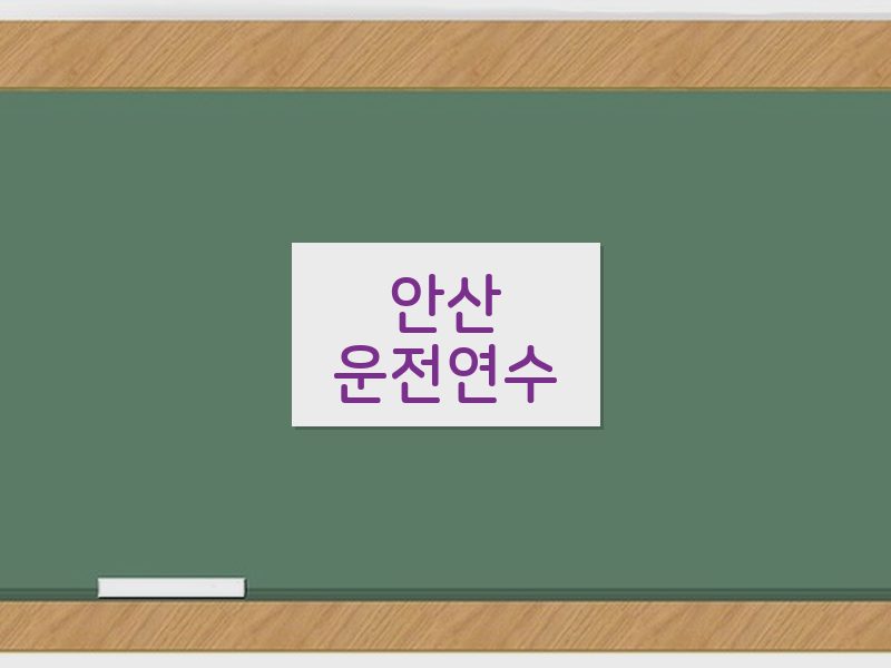 안산운전연수 후기