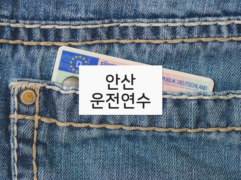 안산운전연수 후기