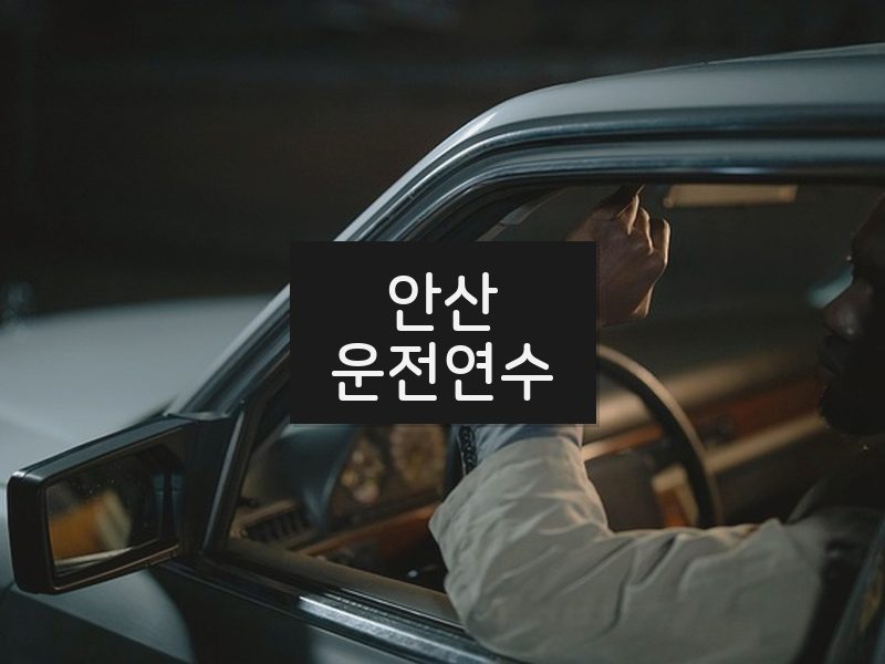 안산운전연수 후기
