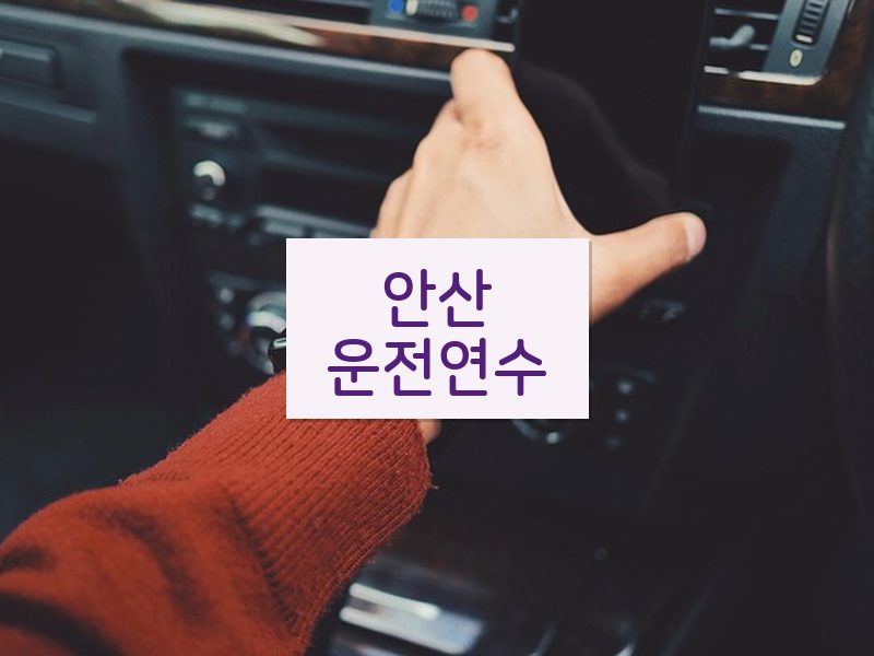 안산운전연수 후기