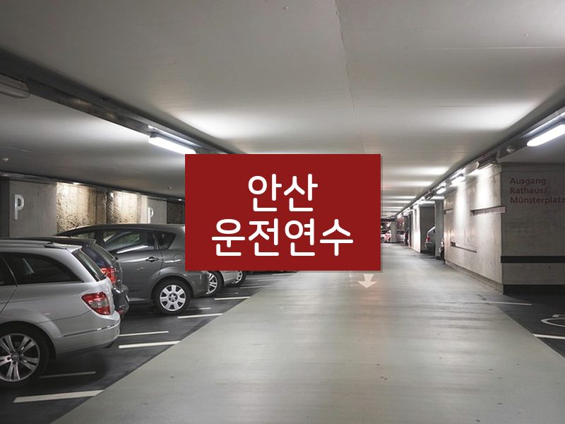 안산운전연수 후기
