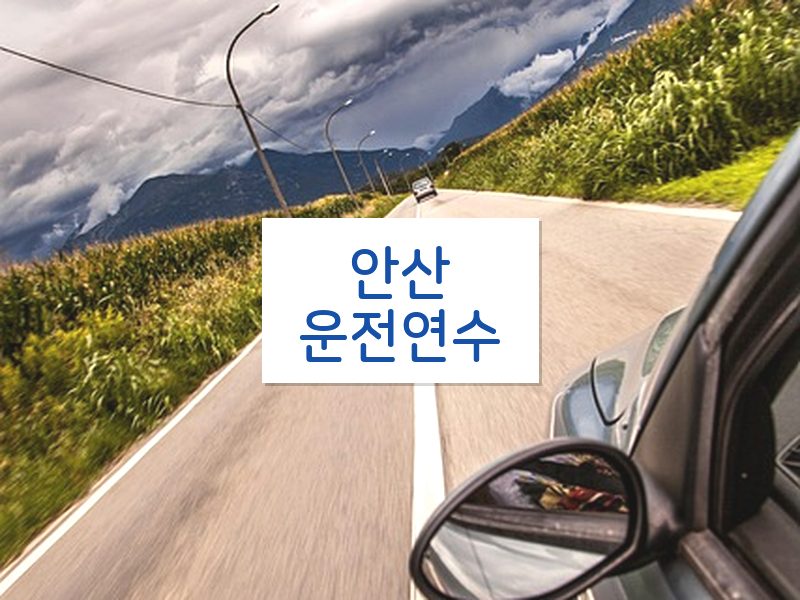 안산운전연수 후기