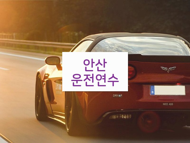 안산운전연수 후기