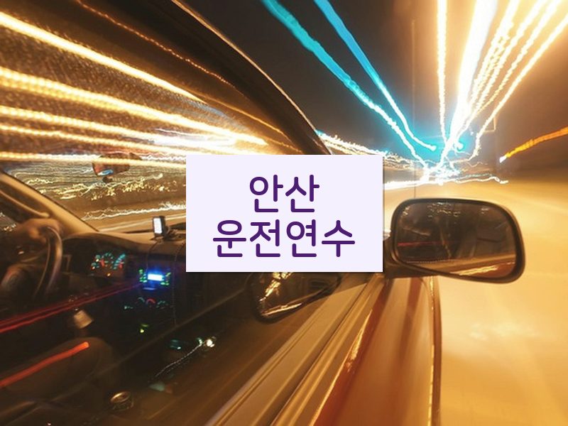 안산운전연수 후기