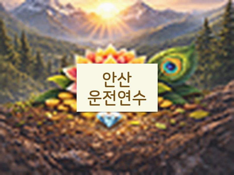 안산운전연수 후기
