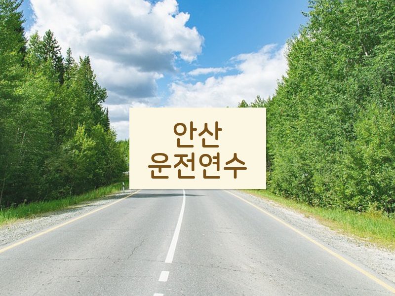 안산운전연수 후기