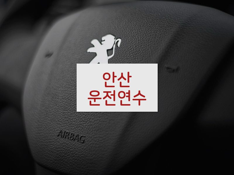 안산운전연수 후기