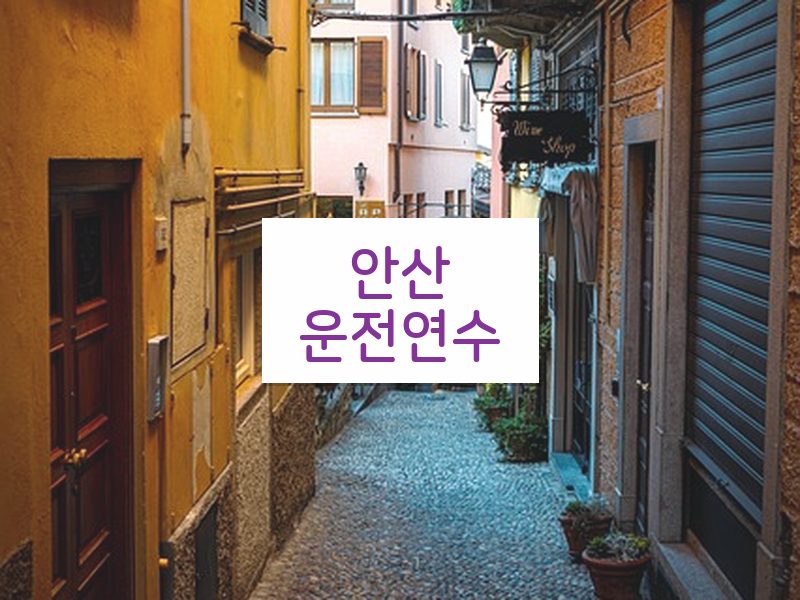 안산운전연수 후기