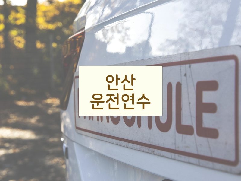 안산운전연수 후기