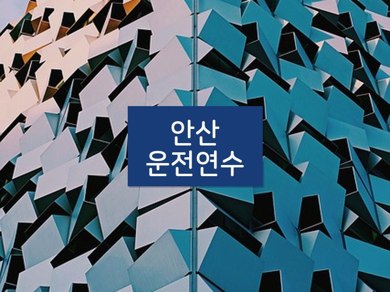 안산운전연수 후기