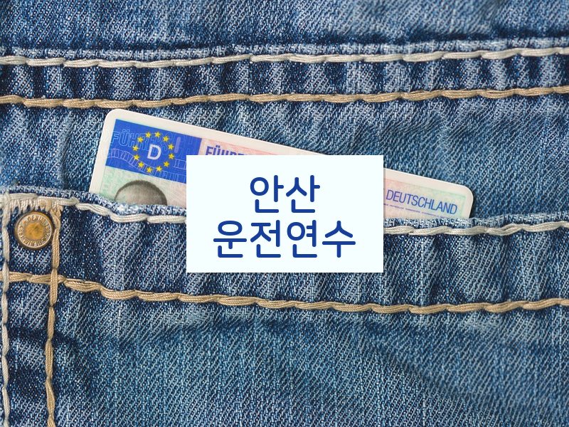 안산운전연수 후기