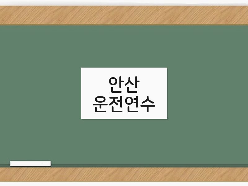 안산운전연수 후기