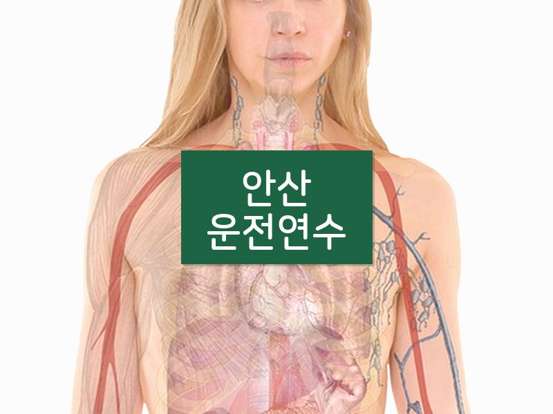 안산운전연수 후기