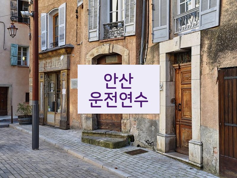 안산운전연수 후기