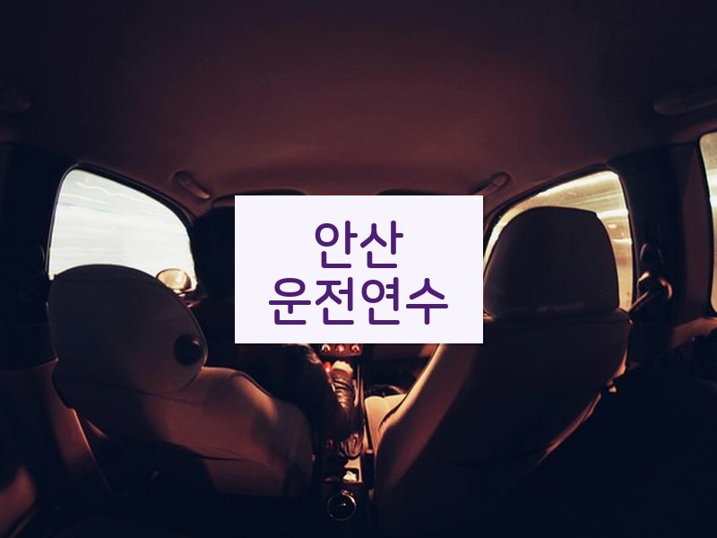 안산운전연수 후기