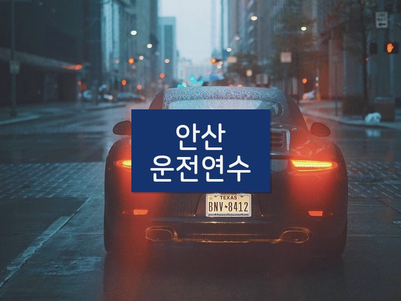 안산운전연수 후기
