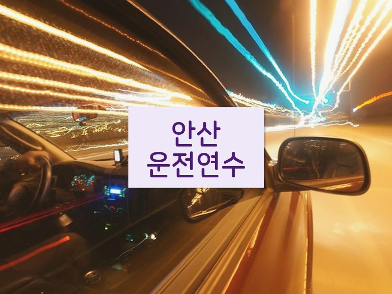 안산운전연수 후기