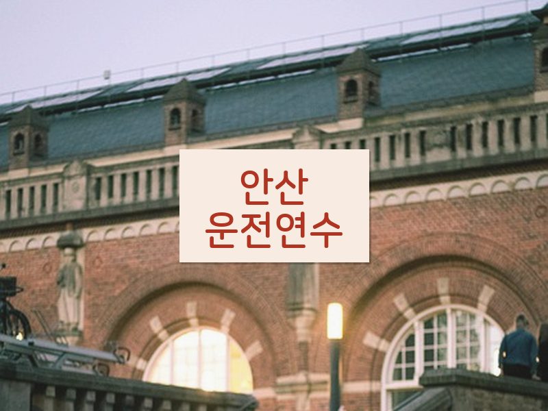 안산운전연수 후기