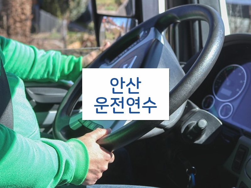 안산운전연수 후기
