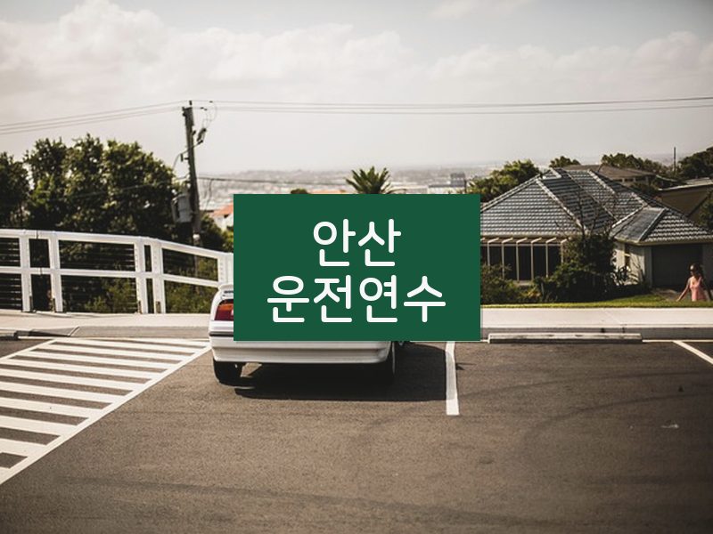 안산운전연수 후기